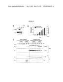 Dek Protein Compositions and Methods of Using the Same diagram and image