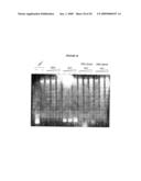 Dek Protein Compositions and Methods of Using the Same diagram and image