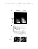 Dek Protein Compositions and Methods of Using the Same diagram and image