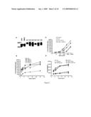 Antigen-Carbohydrate Conjugates diagram and image