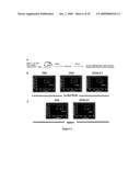 Antigen-Carbohydrate Conjugates diagram and image