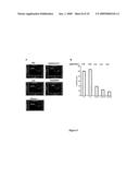 Antigen-Carbohydrate Conjugates diagram and image