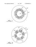 Iris design as a drug depot for zonal drug delivery by contact lens diagram and image