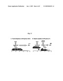 COMPOSITIONS AND METHODS FOR TREATING ALZHEIMER S DISEASE AND DEMENTIA diagram and image