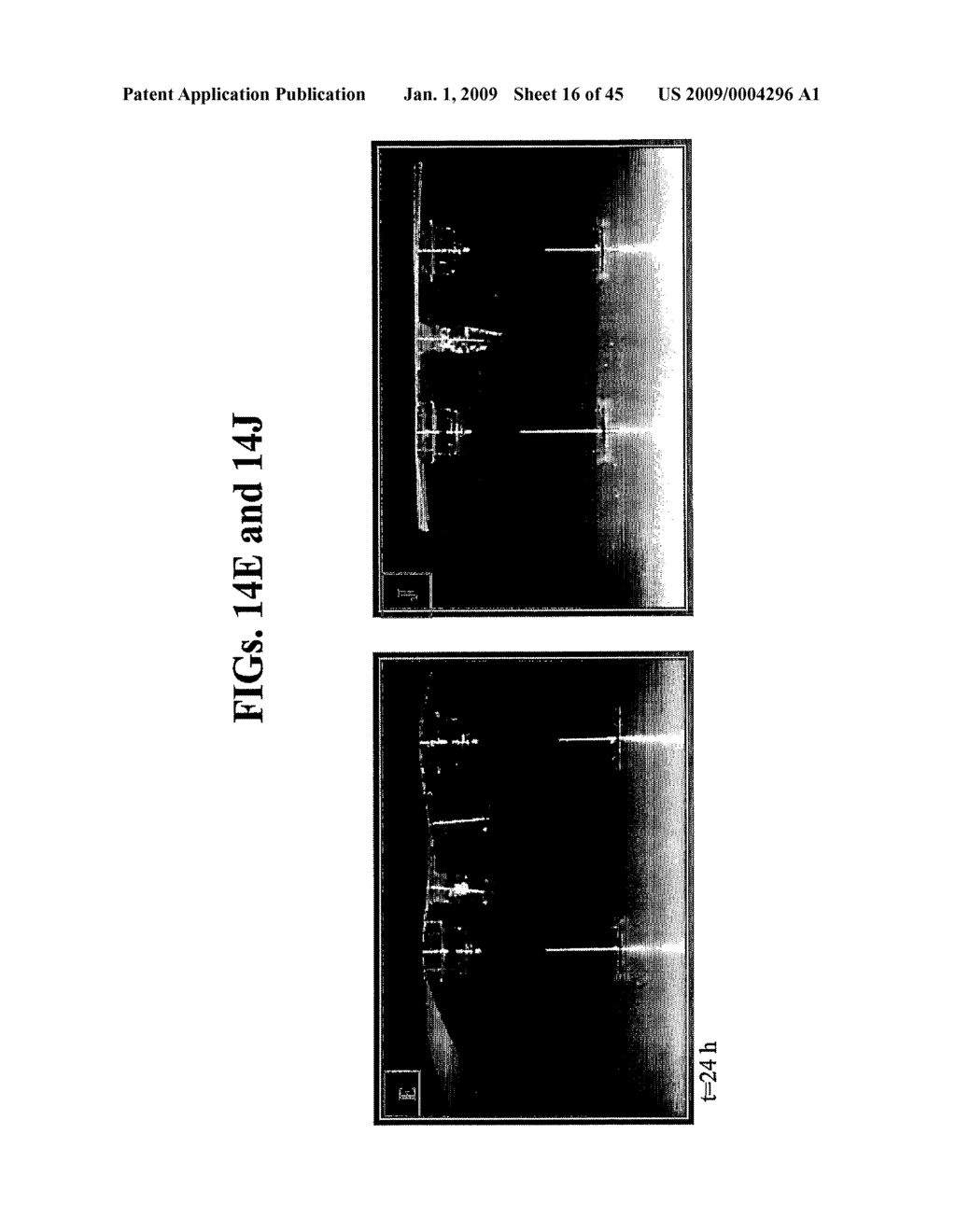 Antiseptic Compositions and Methods of Using Same - diagram, schematic, and image 17