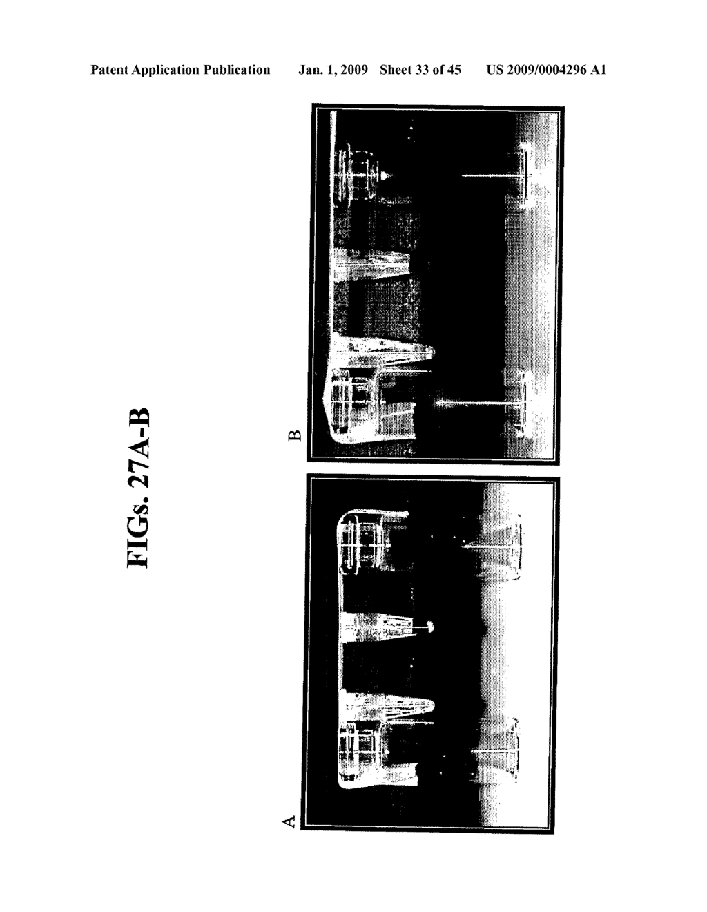 Antiseptic Compositions and Methods of Using Same - diagram, schematic, and image 34