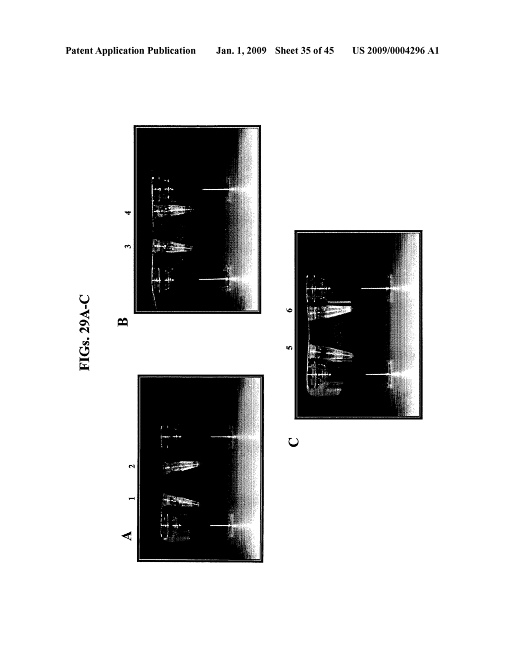Antiseptic Compositions and Methods of Using Same - diagram, schematic, and image 36