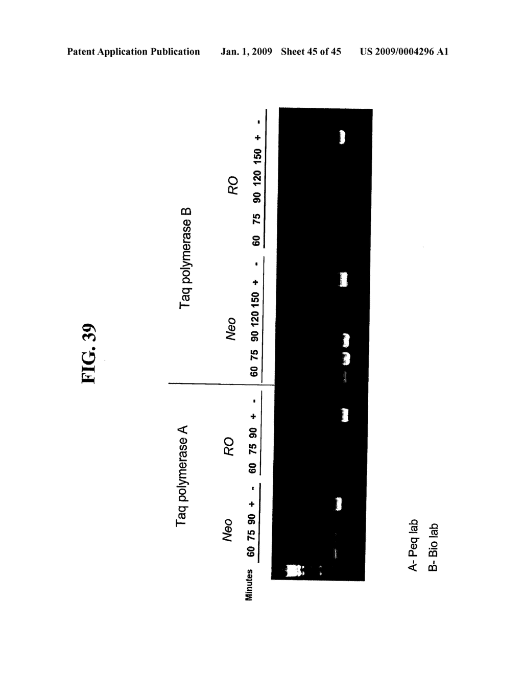 Antiseptic Compositions and Methods of Using Same - diagram, schematic, and image 46