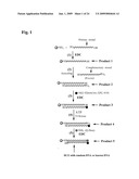 METHODS AND COMPOSITIONS FOR PROCESSES OF RAPID SELECTION AND PRODUCTION OF NUCLEIC ACID APTAMERS diagram and image