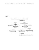 METHODS AND COMPOSITIONS FOR PROCESSES OF RAPID SELECTION AND PRODUCTION OF NUCLEIC ACID APTAMERS diagram and image