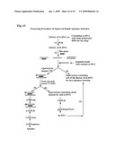 METHODS AND COMPOSITIONS FOR PROCESSES OF RAPID SELECTION AND PRODUCTION OF NUCLEIC ACID APTAMERS diagram and image