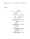 METHODS AND COMPOSITIONS FOR PROCESSES OF RAPID SELECTION AND PRODUCTION OF NUCLEIC ACID APTAMERS diagram and image