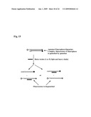 METHODS AND COMPOSITIONS FOR PROCESSES OF RAPID SELECTION AND PRODUCTION OF NUCLEIC ACID APTAMERS diagram and image