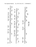 EVERNINOMICIN BIOSYNTHETIC GENES diagram and image