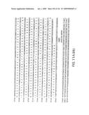 EVERNINOMICIN BIOSYNTHETIC GENES diagram and image