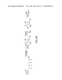 EVERNINOMICIN BIOSYNTHETIC GENES diagram and image