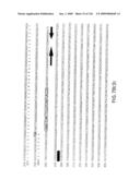 EVERNINOMICIN BIOSYNTHETIC GENES diagram and image