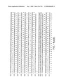 EVERNINOMICIN BIOSYNTHETIC GENES diagram and image