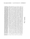 EVERNINOMICIN BIOSYNTHETIC GENES diagram and image