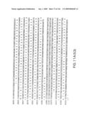 EVERNINOMICIN BIOSYNTHETIC GENES diagram and image