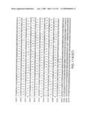 EVERNINOMICIN BIOSYNTHETIC GENES diagram and image