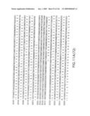 EVERNINOMICIN BIOSYNTHETIC GENES diagram and image