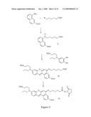 Sulfonated [8,9]benzophenoxazine dyes and the use of their labelled conjugates diagram and image