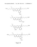 Sulfonated [8,9]benzophenoxazine dyes and the use of their labelled conjugates diagram and image