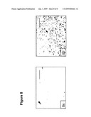 METHOD OF GROWING MESENCHYMAL STEM CELLS FROM BONE MARROW diagram and image