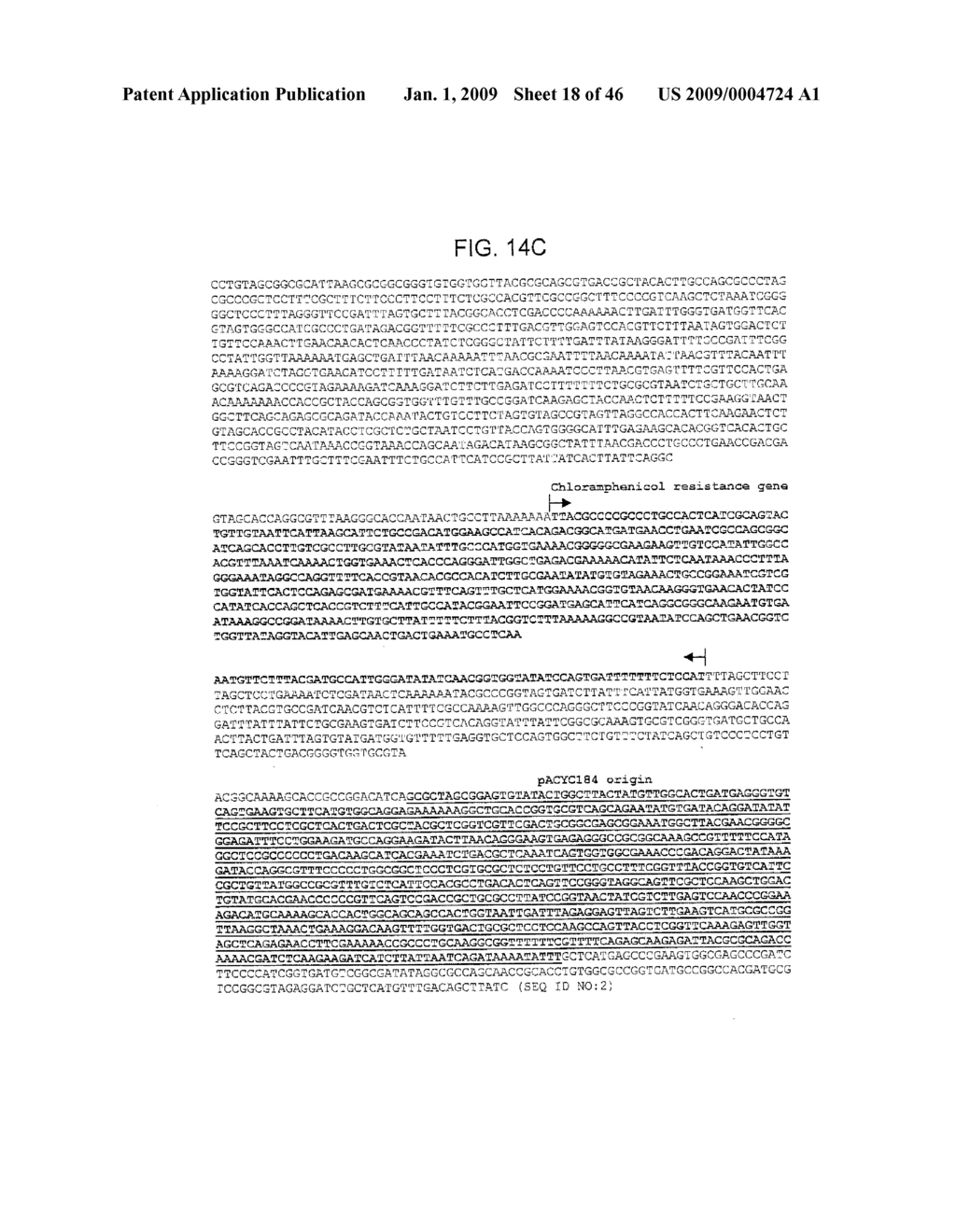 METHOD FOR ENHANCING PRODUCTION OF ISOPRENOID COMPOUNDS - diagram, schematic, and image 19