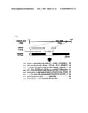 Process For Producing Protein With Reduction of Acidic Sugar Chain and Glycoprotein Produced Thereby diagram and image