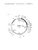 Process For Producing Protein With Reduction of Acidic Sugar Chain and Glycoprotein Produced Thereby diagram and image