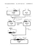 Process For Producing Protein With Reduction of Acidic Sugar Chain and Glycoprotein Produced Thereby diagram and image