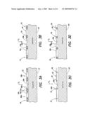 SUSPENDED MEMBRANE PRESSURE SENSING ARRAY diagram and image