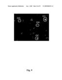 High throughput genome sequencing on DNA arrays diagram and image