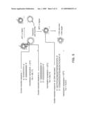 METHOD FOR DETECTING TARGET BIOLOGICAL MATERIAL USING DNA BARCODES diagram and image