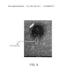 METHOD FOR DETECTING TARGET BIOLOGICAL MATERIAL USING DNA BARCODES diagram and image