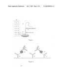 Signal Amplification of Biorecognition Events Using Photopolymerization in the Presence of Air diagram and image