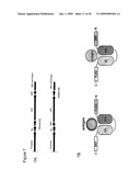 CELL SURFACE DISPLAY, SCREENING AND PRODUCTION OF PROTEINS OF INTEREST diagram and image