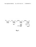 NUCLEIC ACID BASED LADDER COPOLYMERS diagram and image