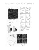 AChE antisense oligonucleotide as an anti-inflammatory agent diagram and image