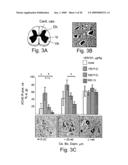 AChE antisense oligonucleotide as an anti-inflammatory agent diagram and image