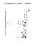 AChE antisense oligonucleotide as an anti-inflammatory agent diagram and image