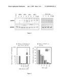 Use of Isothiocyanates Compounds in Treating Prostatic Diseases and Skin Cancer diagram and image