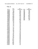 COMMODITIES BASED SECURITIES AND SHIPPING CERTIFICATE THEREFOR diagram and image