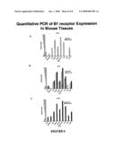 Transgenic Rodents Selectively Expressing Human B1 Bradykinin Receptor Protein diagram and image