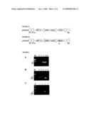 Taxus Transformation Transformed Cells, and Related Compositions and Methods diagram and image