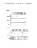 Taxus Transformation Transformed Cells, and Related Compositions and Methods diagram and image