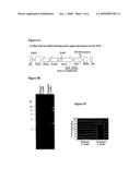 Taxus Transformation Transformed Cells, and Related Compositions and Methods diagram and image