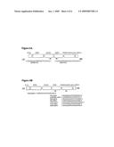 Taxus Transformation Transformed Cells, and Related Compositions and Methods diagram and image